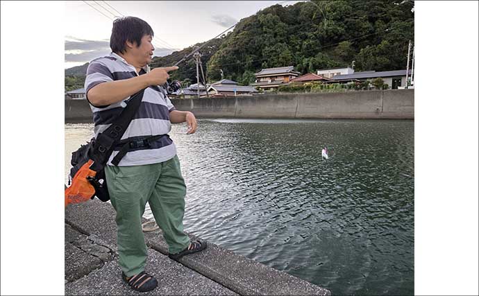 南伊勢のライトソルトゲームで7魚種キャッチ！ メッキ・カマス・アジをルアーで攻略【三重】
