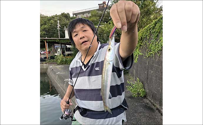 南伊勢のライトソルトゲームで7魚種キャッチ！ メッキ・カマス・アジをルアーで攻略【三重】