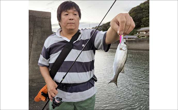 南伊勢のライトソルトゲームで7魚種キャッチ！ メッキ・カマス・アジをルアーで攻略【三重】