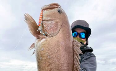 和歌山・日高沖のジギングで10kg近いマハタ浮上！ オオモンハタも登場【アースフィールズ】