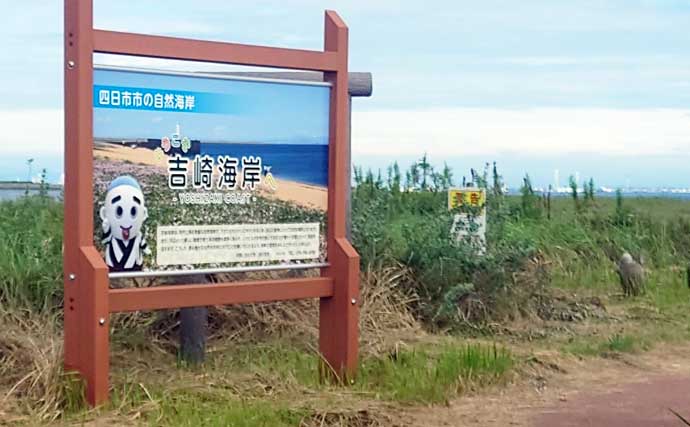 秋のサヨリが伊勢湾沿岸に回遊開始！ 朝マヅメ後にアタリ連発【三重・吉崎海岸】