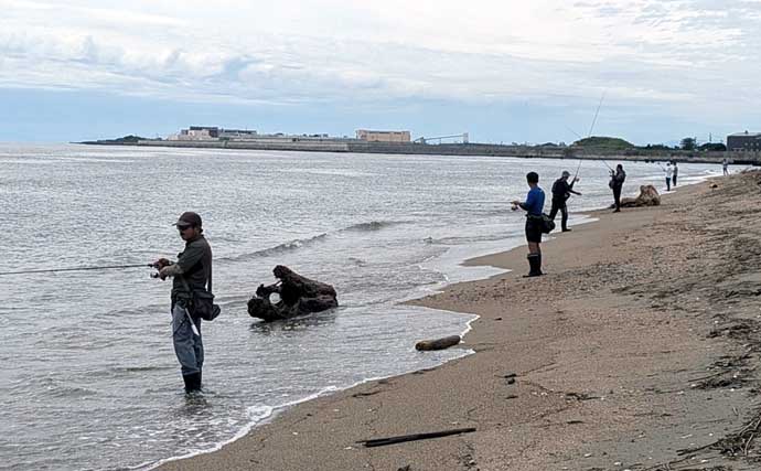 秋のサヨリが伊勢湾沿岸に回遊開始！ 朝マヅメ後にアタリ連発【三重・吉崎海岸】