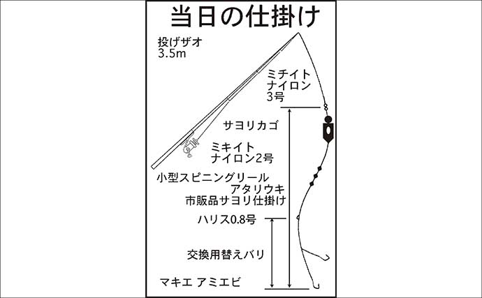 秋のサヨリが伊勢湾沿岸に回遊開始！ 朝マヅメ後にアタリ連発【三重・吉崎海岸】