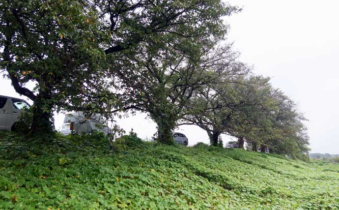 吉田康雄のザ・チャレンジへらぶな【聖地・ビン沼を攻略するぞ #2】