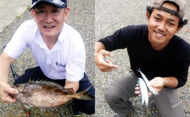サヨリ釣りで「小型ばかり」の状況を遠投で打開！ 40cmの良型バリもヒ…