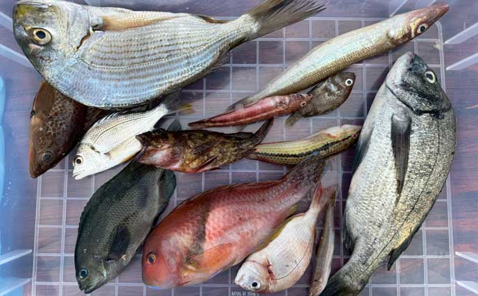 釣った魚と「ゴミの重量」で競う異色の釣り大会が開催！ 熊本の復興支援にも貢献【上天草】