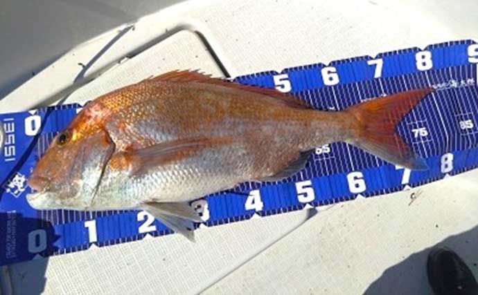 ディープタイラバで80cm頭に船中22匹！　関西エリアの【船釣り特選釣果5選】