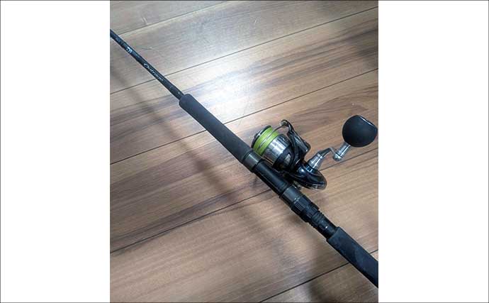 秋の伊勢湾でサワラ＆サゴシが好調！キャスティングで釣果を伸ばす攻略法を解説