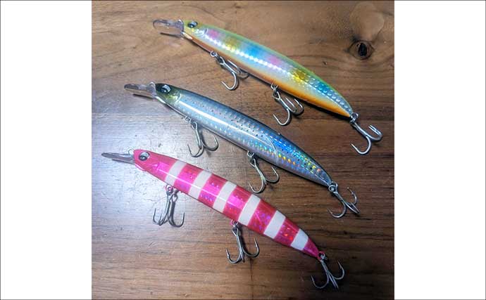 秋の伊勢湾でサワラ＆サゴシが好調！キャスティングで釣果を伸ばす攻略法を解説