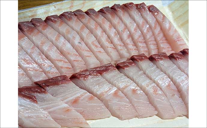 秋の伊勢湾でサワラ＆サゴシが好調！キャスティングで釣果を伸ばす攻略法を解説
