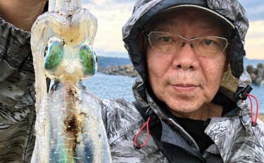 秋のサーフエギングはそろそろ終了？ 激シブの波松海岸で胴長18cmアオリイカ手中【福井】