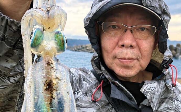秋のサーフエギングはそろそろ終了？ 激シブの波松海岸で胴長18cmアオリイカ手中【福井】