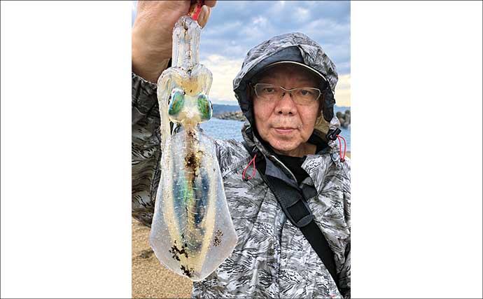 秋のサーフエギングはそろそろ終了？ 激シブの波松海岸で胴長18cmアオリイカ手中【福井】