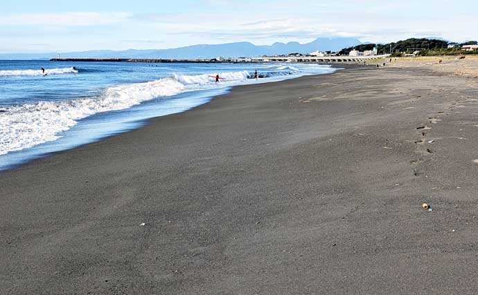 同じ海岸なのに釣果は「0尾と30尾」　大磯海岸の投げキス釣りで明暗分かれる