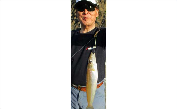 港内の投げ釣りで28cmの大型キスがヒット！ 場所を変えればハゼも入れ食い【山口】