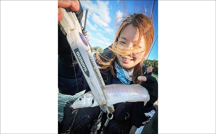 爆風の堤防釣りでシロギス2人で60尾！【天草】釣れたキスを襲う謎の大物も出現