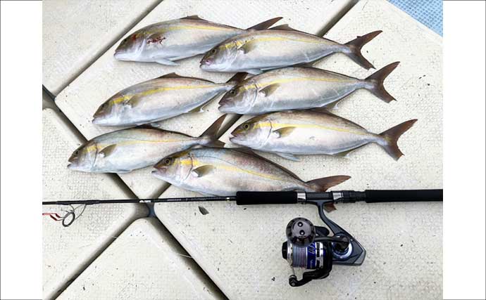 雨のライトジギングでネリゴ（カンパチ幼魚）7尾【司丸】 船長直伝の誘い方が的中！