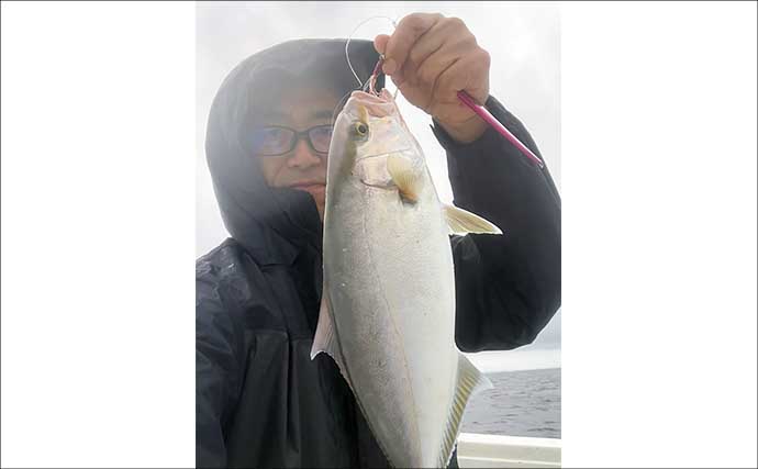 雨のライトジギングでネリゴ（カンパチ幼魚）7尾【司丸】 船長直伝の誘い方が的中！