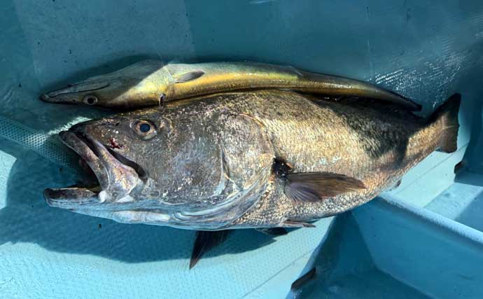 まさかのカジキがヒット！ 船宿厳選「船釣りに行きたくなる写真」4選【九州】