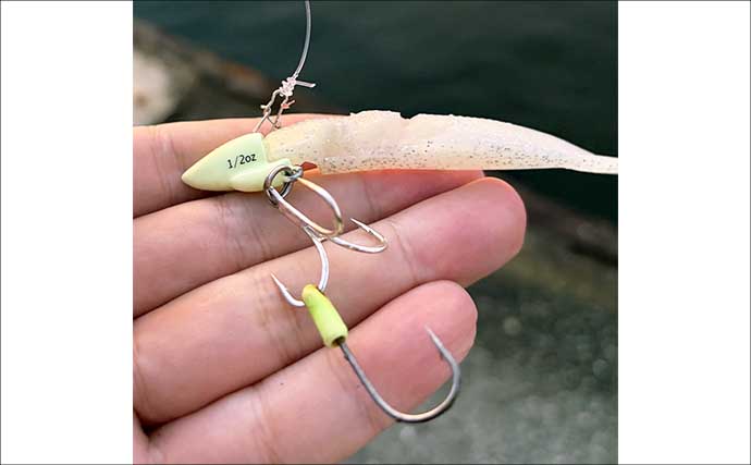 サゴシ＆タチウオ回遊中の大阪湾でサバフグが猛威！ ワーム被害を避けるルアー釣り攻略法