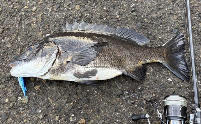 ロッド4本とリール3台で一年中釣りができる？ 陸っぱりルアー釣り師が考えるタックルの最適解
