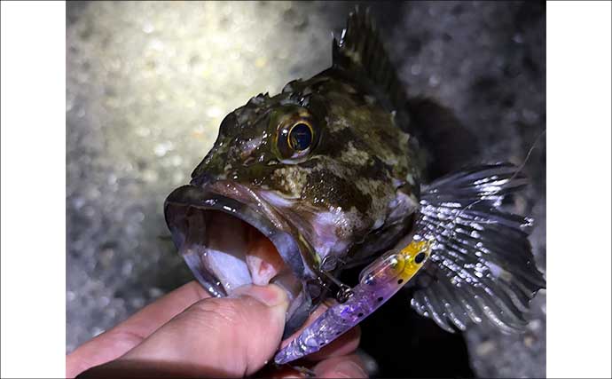ロッド4本とリール3台で一年中釣りができる？ 陸っぱりルアー釣り師が考えるタックルの最適解