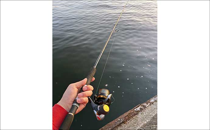 ロッド4本とリール3台で一年中釣りができる？ 陸っぱりルアー釣り師が考えるタックルの最適解