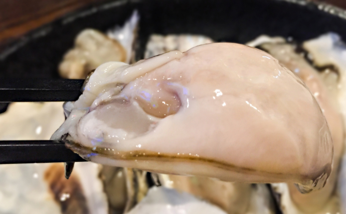 湘南名物「生シラス」で食中毒が発生？ 江の島周辺で相次いだノロウイルス感染の謎