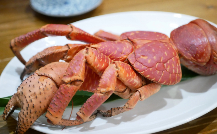 宮古島で「ヤシガニ」による食中毒が発生　見た目では判別できない毒の正体とは？