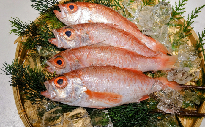学校給食にベニズワイガニ丸ごと1匹！ 高級魚ノドグロも登場する全国の豪華な地魚給食