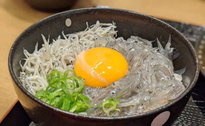 湘南名物「生シラス」で食中毒が発生？ 江の島周辺で相次いだノロウイルス感染の謎