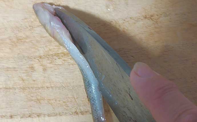 秋が旬の釣り魚レシピ：マハゼの松葉揚げ　粉はできるだけ薄くつけよう