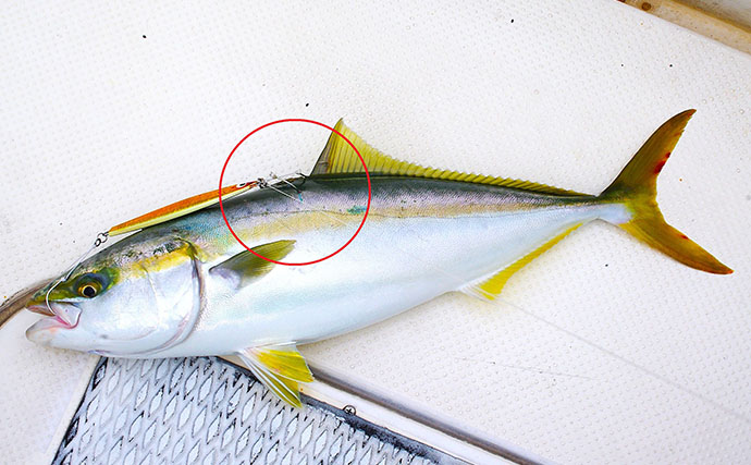 ジギングのリアフックは「付けた方が釣れる」？　大型ブリ狙いでは外す理由と使い分けのコツ