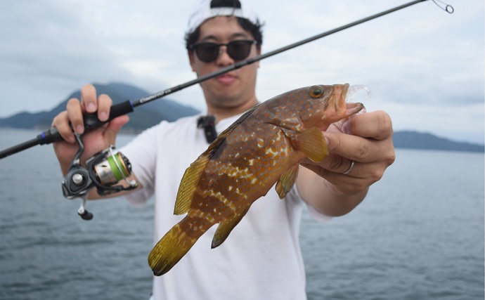 コンパクトロッド1本で「何魚種釣れる？」 アオリにキジハタにカマスも連発【福井】