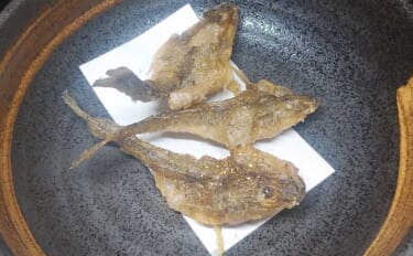 秋が旬の釣り魚レシピ：マハゼの松葉揚げ　粉はできるだけ薄くつけよう
