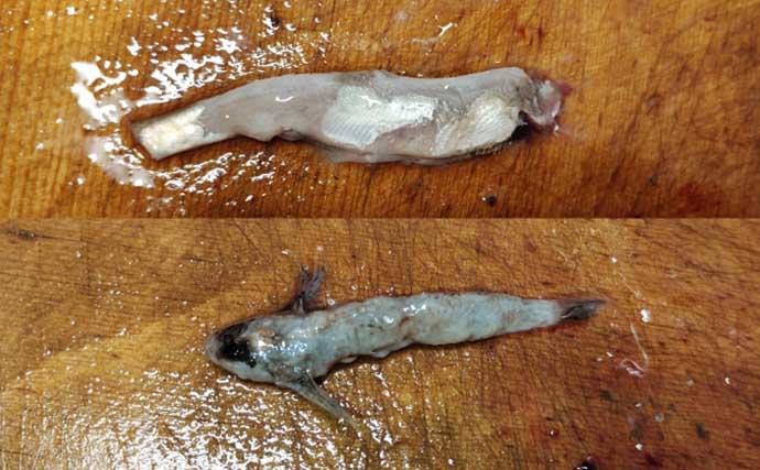 去年釣れなかった場所が良型アマゴの巣に？　渓流釣りに1シーズン通ってわかったこと