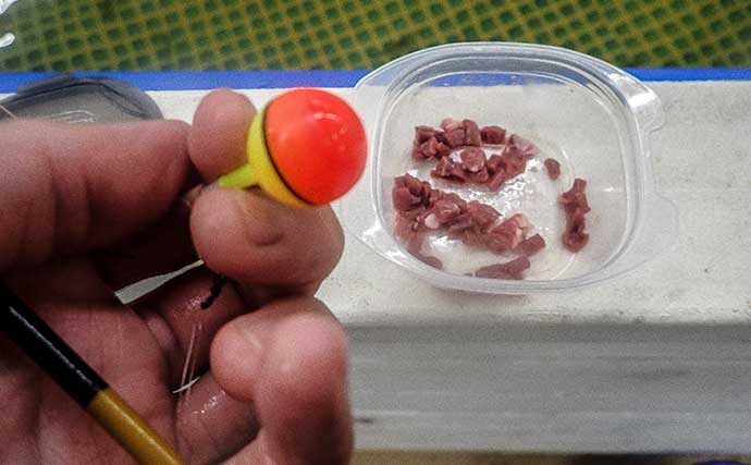 沼津に「釣ったエビをその場で食べられる釣り堀」が誕生！ 夫婦でオニテナガエビ釣りに挑戦