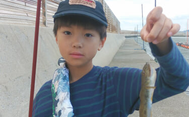 ハゼが釣れなくなったら「1歩だけ移動」　子どもでも実践できる"プチ移動…