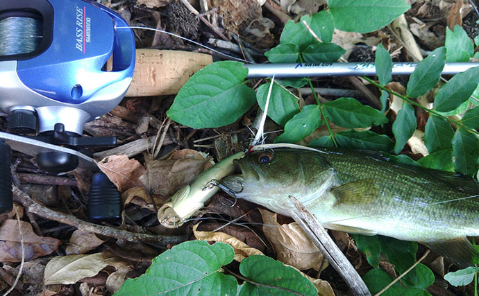 秋のバス釣りで想定外の55cmシーバスがヒット！  懐かしのタックルで3魚種をキャッチ【岡山】