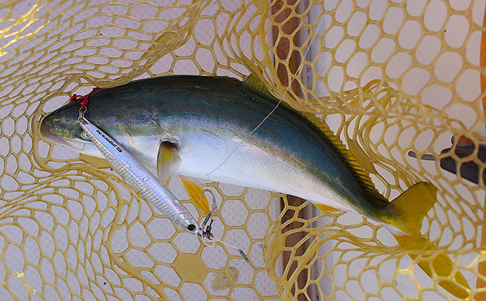 ジギングのリアフックは「付けた方が釣れる」？　大型ブリ狙いでは外す理由と使い分けのコツ