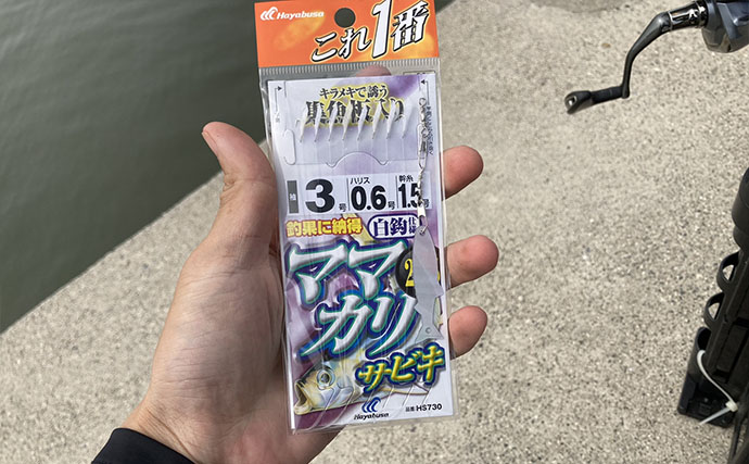 サビキの「一番上のハリ」に注目してサッパ連掛けに成功！ 1時間で50匹をキャッチ【磯津漁港】