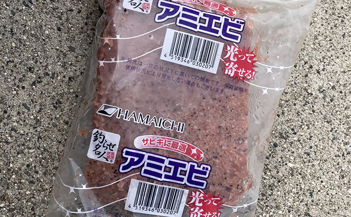 サビキの「一番上のハリ」に注目してサッパ連掛けに成功！ 1時間で50匹をキャッチ【磯津漁港】