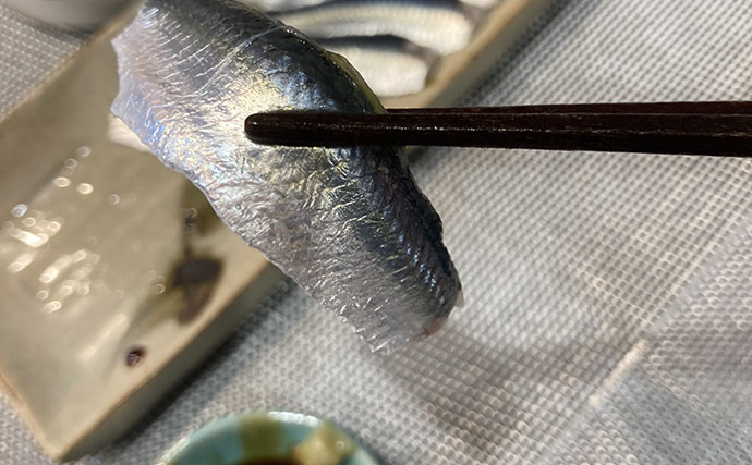 サビキの「一番上のハリ」に注目してサッパ連掛けに成功！ 1時間で50匹をキャッチ【磯津漁港】