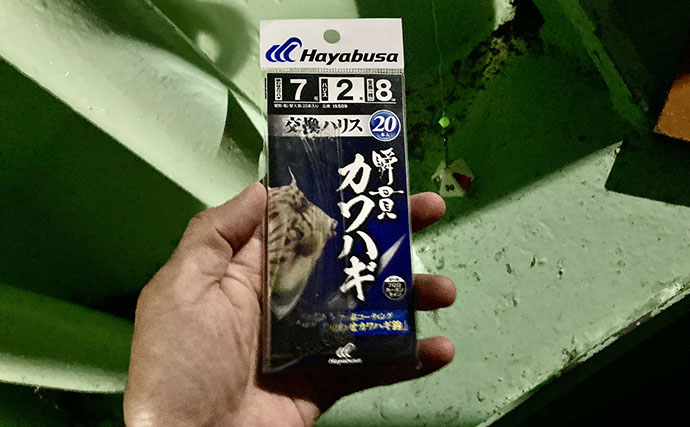 カワハギ釣りは「誘う速さ」で釣果が変わる！ テンポ調整して本命20匹【七福丸・愛知】