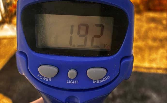 夜釣りのイメージが強い「クエ」は昼でも釣れる？ 冷凍サバに5.8kg良型がヒット！
