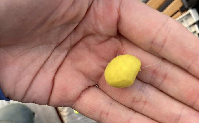 海上釣り堀で「アジの泳がせ」がまさかの不発　エサを替えると60cmワラサがヒット！【三重】