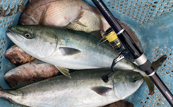 海上釣り堀で「アジの泳がせ」がまさかの不発　エサを替えると60cmワラサがヒット！【三重】