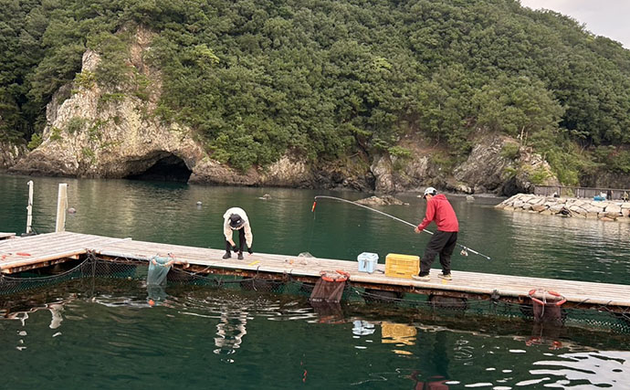 海上釣り堀で「アジの泳がせ」がまさかの不発　エサを替えると60cmワラサがヒット！【三重】