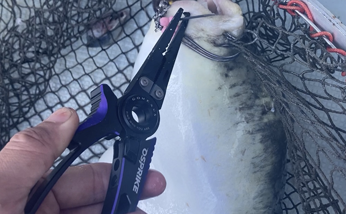 解禁初日のトラフグ釣りで3kg級をゲット！ 「海底50cmからのフォール」がズバリ的中【魚勘丸・三重】