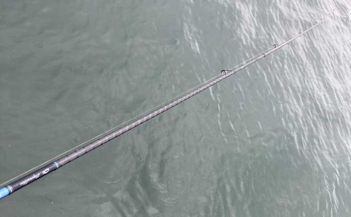 ハゼ釣りで16cm頭に19匹！ 速い流れを攻略するオモリの選び方と仕掛けの流し方とは？